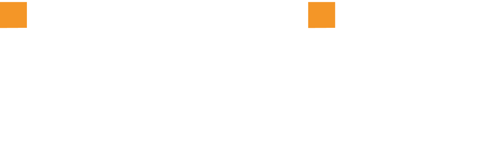 Logo footer